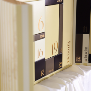 Michi's Adventskalender 2025